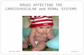 10/22/2015 Winter 2013 1 DRUGS AFFECTING THE CARDIOVASCULAR and RENAL SYSTEMS.