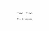 Evolution The Evidence. ‘Evolution’ stands for several theses: Mutability of species (i.e. species change over time) – (observed/confirmed) Natural selection.