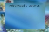 Adrenergic agemts. Learning Objectives Understand the central and peripheral nervous systems, their functions, and their relationship to drugs. Become.