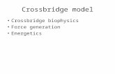 Crossbridge model Crossbridge biophysics Force generation Energetics.