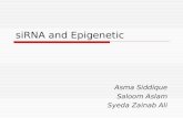 SiRNA and Epigenetic Asma Siddique Saloom Aslam Syeda Zainab Ali.