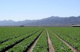 Herbicides Registered In Arizona And California 2008.