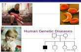 AP Biology 2008-2009 Human Genetic Diseases 12 3456.