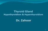 1. Thyroid Gland The metabolism of Virtually all nucleated cells of many tissues in the body is controlled by thyroid hormone Over activity (Hyperthyroidism)