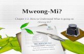 Chapter 1-2. How to Understand What is going on (Mweong-Mi) ? Mweong-Mi? Prof. Jin-Wan Seo, Ph.D. Department of Public Administration University of Incheon,