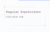 Regular Expressions CISC/QCSE 810. Recognizing Matching Strings ls *.exe translates to "any set of characters, followed by the exact string ".exe" The.