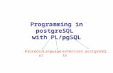 Programming in postgreSQL with PL/pgSQL ProceduralLanguageextension topostgreSQL.