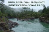 Zack Larson and Associates. Dual-frequency Identification Sonar (DIDSON) is promising new technology for enumerating anadromous fish in rivers. DIDSON.