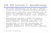 1 R. Rao, Week 5: Neurobiology CSE 599 Lecture 5: Neurobiology F Why study neurobiology (if you are a computer scientist/software engineer/hardware designer)?