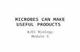MICROBES CAN MAKE USEFUL PRODUCTS WJEC Biology Module 3.