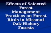 Effects of Selected Forest Management Practices on Forest Birds in Missouri Oak-Hickory Forests.