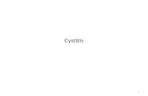 Cystitis 1. Cystitis describes a clinical syndrome of dysuria, frequency, urgency, and occasionally suprapubic pain 2.