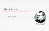Genetics Chapter 11. History of Genetics  Gregor Mendel 1822-1884 “Father of genetics” a monk who studied inheritance traits in pea plans worked with.