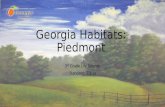 Georgia Habitats: Piedmont 3 rd Grade Life Science Standard: S3L1a.