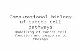 Computational biology of cancer cell pathways Modelling of cancer cell function and response to therapy.