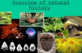 Overview of natural history Breakdown of time Different periods of Earth’s history are broken into sets of time –just like a year is broken into months,