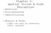Chapter 5: Spatial Vision & Form Perception Detection Discrimination Identification Objects & Forms –Light can vary by intensity, color, pattern.