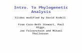 Intro. To Phylogenetic Analysis Slides modified by David Ardell From Caro-Beth Stewart, Paul Higgs, Joe Felsenstein and Mikael Thollesson.