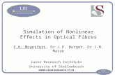 1 Laser Research Institute University of Stellenbosch  Simulation of Nonlinear Effects in Optical Fibres F.H. Mountfort, Dr J.P.