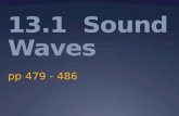13.1 Sound Waves pp 479 - 486. Essential Questions  How do we perceive sound?  What conditions change the way in which we perceive sound?