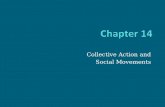 Collective Action and Social Movements. Chapter Outline The Study of Collective Action and Social Movements Nonroutine Collective Action Social Movements.