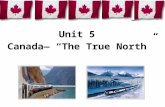 Unit 5 Canada— “The True North”. 1.Which is the national flag of Canada? A. B. C. Q D. Quiz.