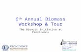 6 th Annual Biomass Workshop & Tour The Biomass Initiative at Providence Bruce Duggan Director BullerCentre.com.