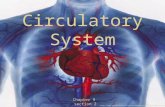 Chapter 9 section 2 Circulatory System .