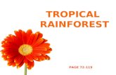 TROPICAL RAINFOREST PAGE 72-119. OBJECTIVES Describe and explain distribution of tropical rainforest. Describe the features of tropical rainforests. Describe.