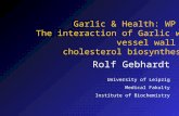 Rolf Gebhardt University of Leipzig Medical Fakulty Institute of Biochemistry Garlic & Health: WP 5.2 The interaction of Garlic with vessel wall and cholesterol.
