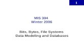 1 MIS 304 Winter 2006 Bits, Bytes, File Systems Data Modeling and Databases.