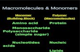 Macromolecules & Monomers MonomerPolymer (Building Block)(Macromolecules) Amino acidProtein MonosaccharidePolysaccharide (simple sugar) NucleotidesNucleic.