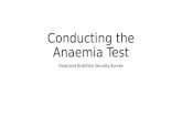 Conducting the Anaemia Test Food and Nutrition Security Survey.