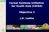 Cereal Systems Initiative for South Asia (CSISA) Objective 2 J.K. Ladha.
