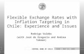 1 CENTRAL BANK OF CHILE Rodrigo Valdés (with José de Gregorio and Andrea Tokman) IADB - MAY 13, 2005 Flexible Exchange Rates with Inflation Targeting in.