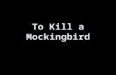 To Kill a Mockingbird. Vocab11/6 Synonyms- a word that means exactly or nearly the same as another word Inquisitive- inclined to investigate; curious.