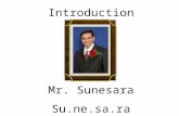 Introduction Mr. Sunesara Su.ne.sa.ra. Family Married for 8 years. Wife – Aruna Son -- Ayan (5 yrs. Sept. 19) Mother Father 2 Brothers (I am the youngest.