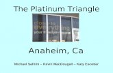 The Platinum Triangle Anaheim, Ca Michael Sahimi – Kevin MacDougall – Katy Escobar.