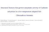 Structural features that govern enzymatic activity of Carbonic anhydrase in a low temperature adapted fish Chionodraco hamatus Stefano Marino *, Kuniko.