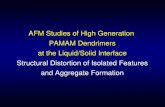 AFM Studies of High Generation PAMAM Dendrimers at the Liquid/Solid Interface Structural Distortion of Isolated Features and Aggregate Formation.