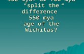 400 mya? or 700 mya “split the difference” 550 mya age of the Wichitas?