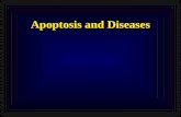 Apoptosis and Diseases. 1.Concept 2.Major pathways 3.Key molecules 4.Apoptosis-related diseases Insufficient apoptosis in diseases Excessive apoptosis.