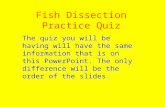 Fish Dissection Practice Quiz The quiz you will be having will have the same information that is on this PowerPoint. The only difference will be the order.