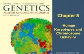 Chapter 8 Human Karyotypes and Chromosome Behavior Jones and Bartlett Publishers © 2005.