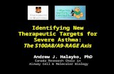 Identifying New Therapeutic Targets for Severe Asthma: The S100A8/A9-RAGE Axis Andrew J. Halayko, PhD Canada Research Chair in Airway Cell & Molecular.