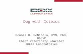 Dog with Icterus Dennis B. DeNicola, DVM, PhD, DACVP Chief Veterinary Educator IDEXX Laboratories.