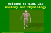 Welcome to BIOL 252 Anatomy and Physiology .