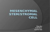 Shen Bin 9-20-2015 Journal Club. What is MSCs?  Mesenchymal stem cells (MSCs) are multipotent stromal cells that can differentiate into a variety of.