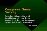 Congaree Swamp Survey Species Diversity and Condition of the Fish Community in the Congaree Swamp National Monument Leo Rose.