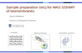 Amyloid biomembranes crystalline proteins Sample preparation (etc) for MAS SSNMR of biomembranes David Middleton School of Biological Sciences.